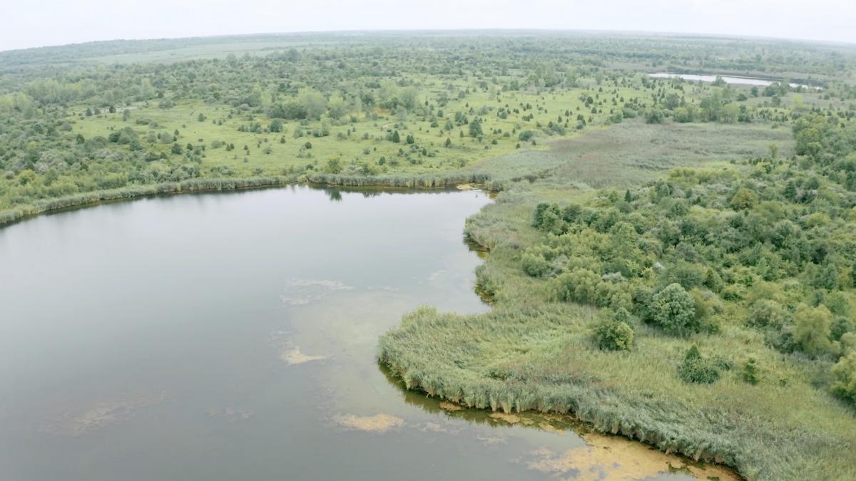 HUGE LAND AUCTION WARRICK COUNTY, IN Kurtz Auction & Realty Co.